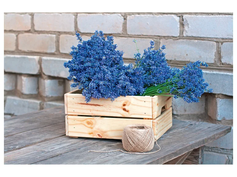 PARKSIDE® Agrafeuse-cloueuse électrique PHET 15 C2. 70 W