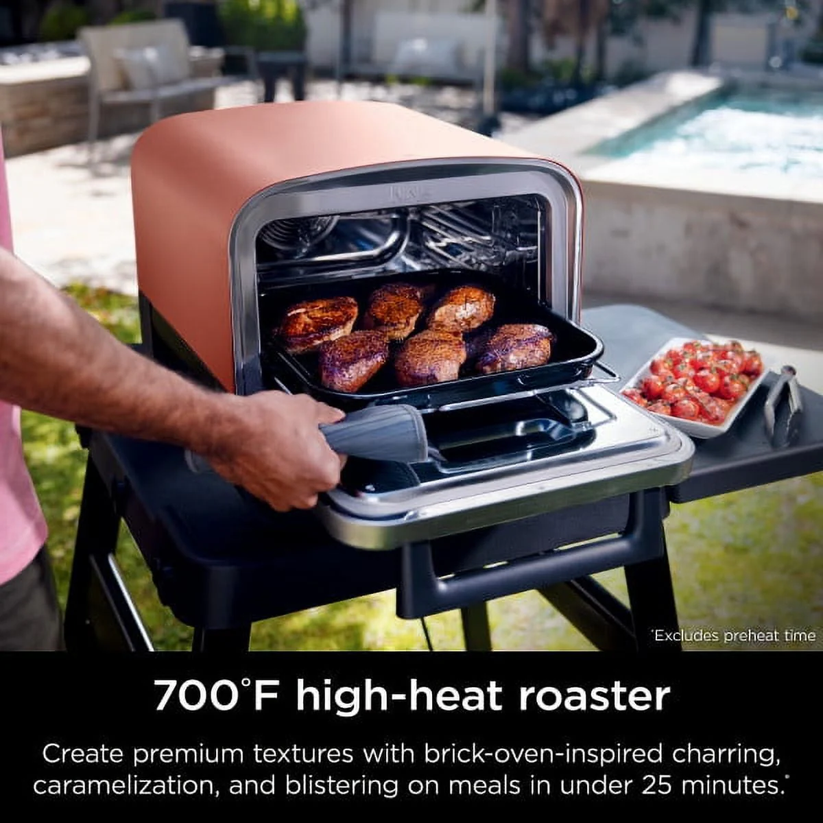Ninja Woodfire�?8-in-1 Outdoor Oven, 700°F High-Heat Roaster, Artisan Pizza Oven, Foolproof BBQ Smoker with Ninja Woodfire�?Technology, Electric, OO101